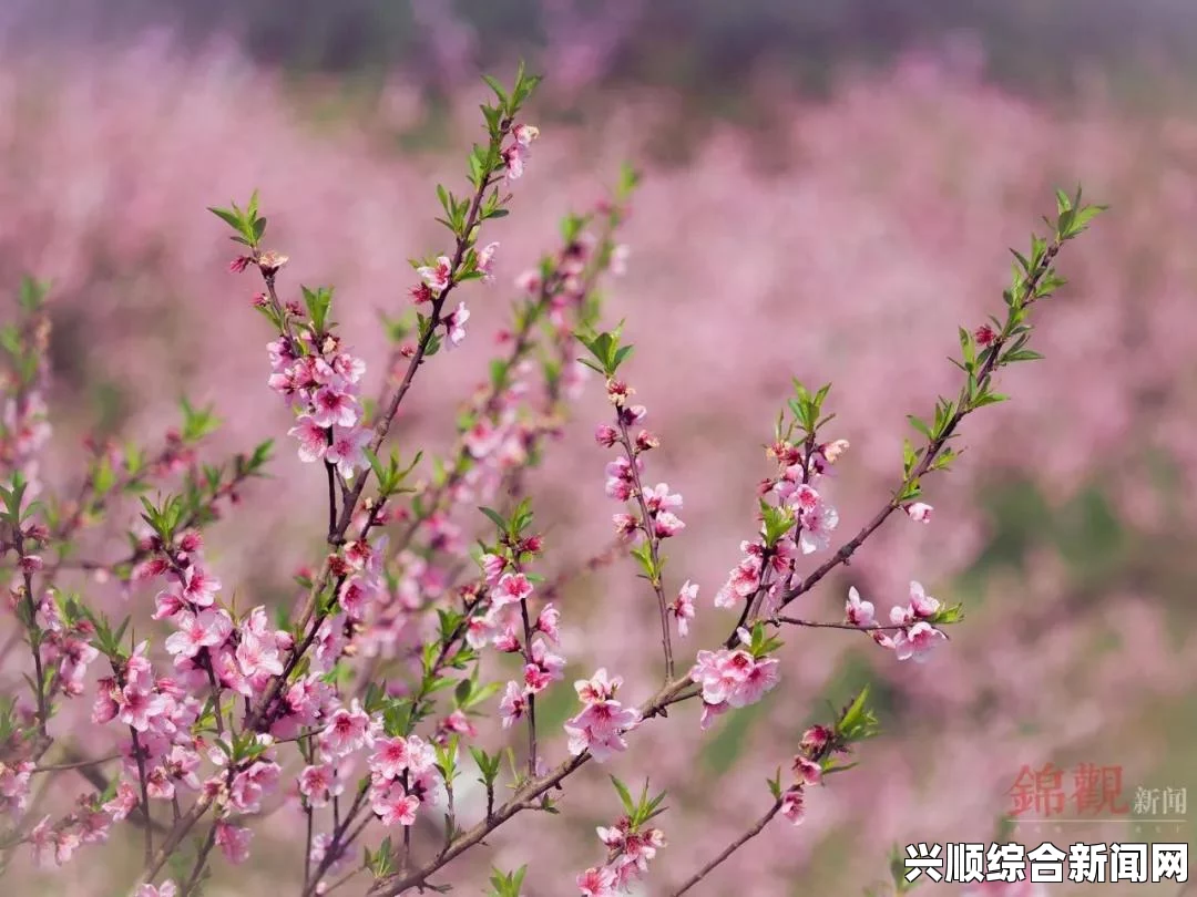 海棠入口myhtlmebookmyhtlme下载：如何正确下载并使用海棠入口电子书，避免常见问题与技巧分享_开启无限可能