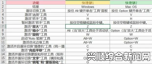 如何在AE中制作一个专业视频？从入门到精通的全过程解析——掌握技巧与实用案例分享_网站观看人数在哪破解版