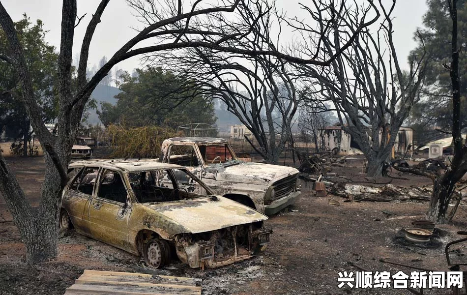 美国加州山火肆虐成灾，千余人被迫疏散，马匹路边烤死（图文报道）