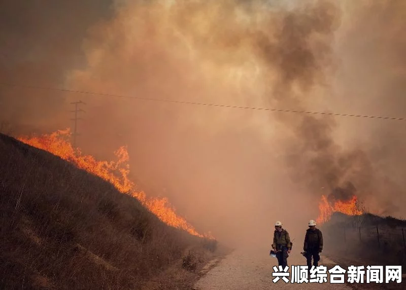 美加州山火大规模爆发，紧急疏散五千人，四名消防员受伤（附图片报道）