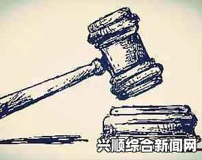 案件深度解析，背景揭秘与事实揭晓的探究性展望